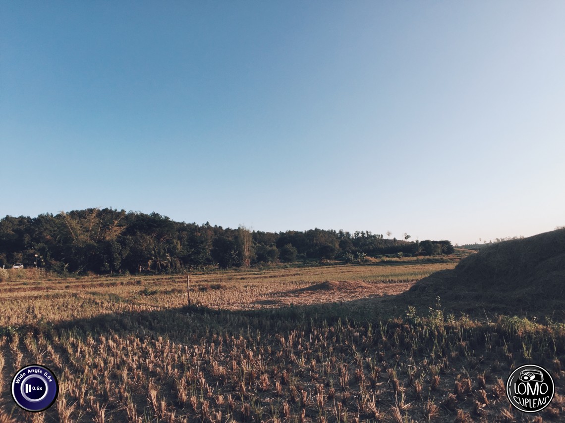 ธรรมชาติสุดสวย ระหว่างสองข้างทาง เชียงใหม่-พะเยา  ประเภทเลนส์ Wide Angle 0.6x  อุปกรณ์ที่ใช้ถ่ายรูป Apple >> iPhone 6  รีวิวโดย iSetUp