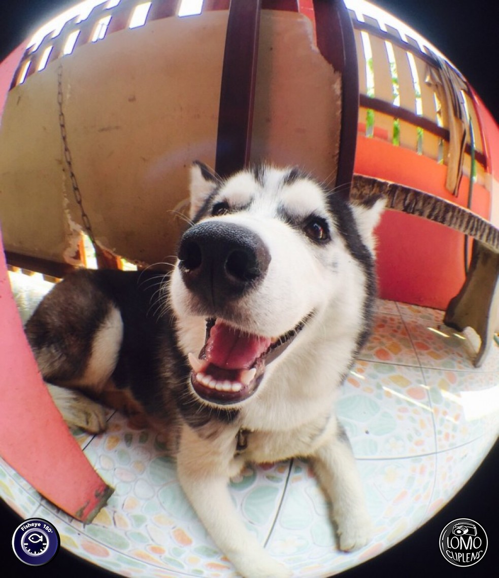 ขอบคุณรีวิวสวยๆ จากคุณ ซุปเปอแมนเกงลิงสีแดง  ประเภทเลนส์ Fisheye 180°