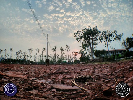 พอใส่เลนส์ ชัดกว่าไม่ใส่ครับ  ประเภทเลนส์ Super Wide Angle 0.45x  อุปกรณ์ที่ใช้ถ่ายรูป Lenovo >> A6010  รีวิวโดย Tee