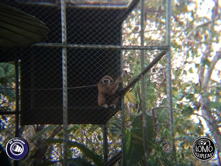 เอ๊ะนั่นตัวอะไร ซูมได้ไกลมากเลยครับ  ประเภทเลนส์ 8X Zoom Telescope  อุปกรณ์ที่ใช้ถ่ายรูป Apple >> iPhone 5s  รีวิวโดย SetUp