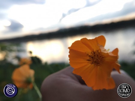 ณ เชียงคาน  ประเภทเลนส์ Macro Scope 10x  อุปกรณ์ที่ใช้ถ่ายรูป Apple >> iPhone 6 Plus  รีวิวโดย NonTaWat.GN