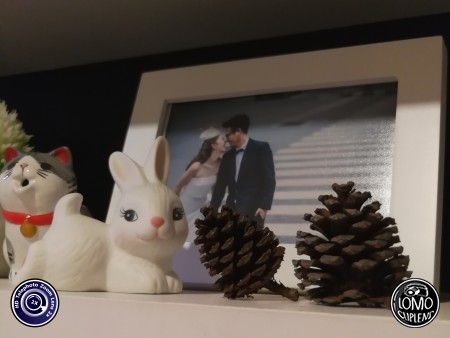 งาน Portrait  ประเภทเลนส์ HD Telephoto Zoom Lens 2x  อุปกรณ์ที่ใช้ถ่ายรูป Huawei >> Mate 9  รีวิวโดย Minnie