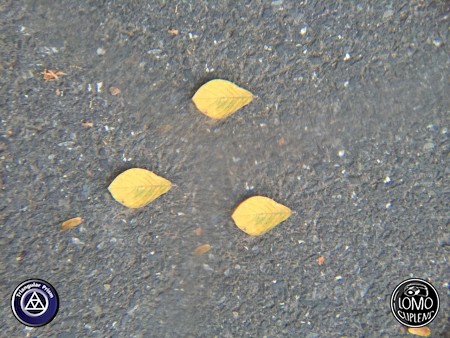 คือมันสนุกมากค่ะ  ประเภทเลนส์ Triangular Prism  อุปกรณ์ที่ใช้ถ่ายรูป Apple >> iPhone 6  รีวิวโดย Milinda