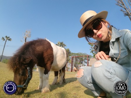 ฮัลโหลเบบี๋  ประเภทเลนส์ Wide Angle 0.4x - 0.6x  อุปกรณ์ที่ใช้ถ่ายรูป Huawei >> Mate 9  รีวิวโดย Minnie