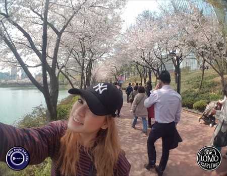 ชมสวนซากุระ บรรยากาศดี๊ดี  ประเภทเลนส์ Wide Angle 0.4x - 0.6x  อุปกรณ์ที่ใช้ถ่ายรูป Samsung >> Galaxy S7  รีวิวโดย Irin