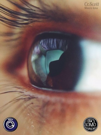 Behide an eye  ประเภทเลนส์ Macro (normal)  อุปกรณ์ที่ใช้ถ่ายรูป Apple >> iPhone 6  รีวิวโดย Scott