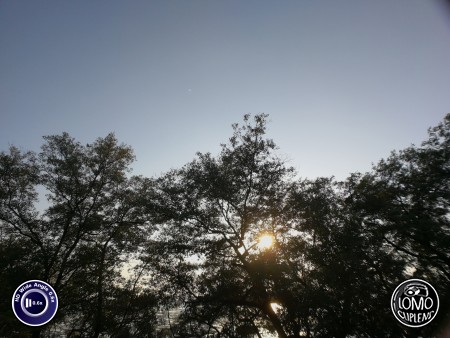 บรรยากาศยามเย็นที่บางปู  ประเภทเลนส์ Wide Angle 0.6x HD  อุปกรณ์ที่ใช้ถ่ายรูป Huawei >> P10  รีวิวโดย SetUp