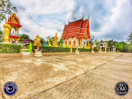 ภาพสวย เก็บภาพได้กว้างมาก  ประเภทเลนส์ Wide Angle 0.6x HD  อุปกรณ์ที่ใช้ถ่ายรูป Apple >> iPhone 6  รีวิวโดย P A W I N E E