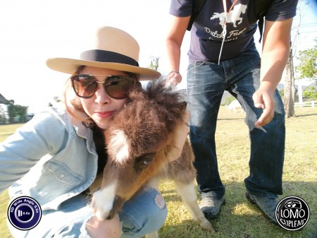 อ้อนกันหน่อยกะน้อง ณอน  ประเภทเลนส์ Wide Angle 0.6x HD  อุปกรณ์ที่ใช้ถ่ายรูป Huawei >> Mate 9  รีวิวโดย Minnie