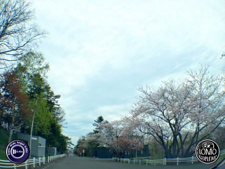 ขอบคุณรูปสวยๆ จากญี่ปุ่นมากครับ  ประเภทเลนส์ Super Wide Angle 0.45x  อุปกรณ์ที่ใช้ถ่ายรูป Apple >> iPhone 6s  รีวิวโดย Yupaade