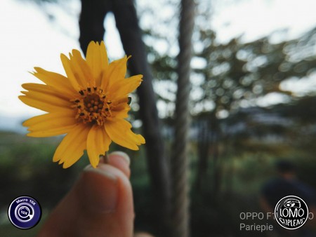 ส่งรูปสวยๆมารีวิวค่าา  ประเภทเลนส์ Macro Scope 10x  อุปกรณ์ที่ใช้ถ่ายรูป OPPO >> F1  รีวิวโดย Parie