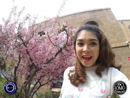 ดอกไม้สวยมาก สวยจนคิดว่าดอกไม้ปลอมรึป่าว

กรุงโซล เกาหลีใต้  ประเภทเลนส์ Wide Angle 0.4x - 0.6x  อุปกรณ์ที่ใช้ถ่ายรูป Huawei >> Mate 9  รีวิวโดย Minnie