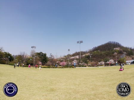 พอถึงวันหยุดคนเกาหลีก็จะออกมานั่งปิ๊กนิก ชมดอกซากุระกันเต็มไปหมดเลย @Bucheon Stadium  ประเภทเลนส์ Wide Angle 0.4x - 0.6x  อุปกรณ์ที่ใช้ถ่ายรูป Huawei >> Mate 9  รีวิวโดย Minnie