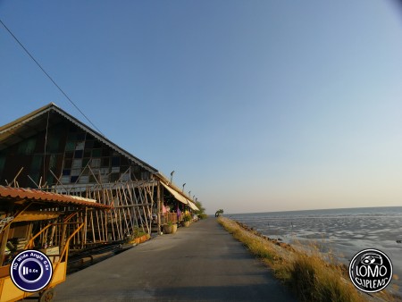 บรรยากาศยามเย็นที่บางปู  ประเภทเลนส์ Wide Angle 0.6x HD  อุปกรณ์ที่ใช้ถ่ายรูป Huawei >> P10  รีวิวโดย SetUp