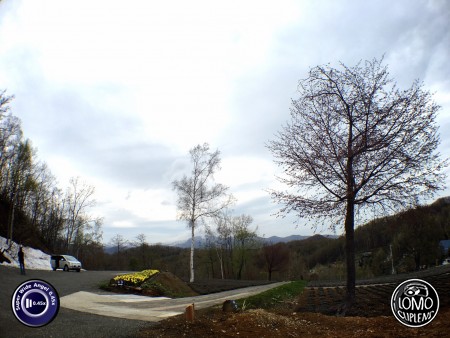 Manami-Ku, Sapporo, Hokkaido, Japan  ประเภทเลนส์ Super Wide Angle 0.45x  อุปกรณ์ที่ใช้ถ่ายรูป Apple >> iPhone 6s  รีวิวโดย Yupadee