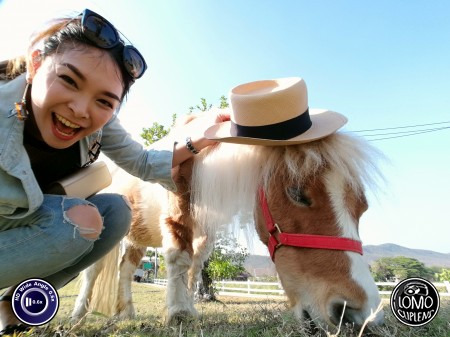 หล่อยังคร้าบ  ประเภทเลนส์ Wide Angle 0.6x HD  อุปกรณ์ที่ใช้ถ่ายรูป Huawei >> Mate 9  รีวิวโดย Minnie