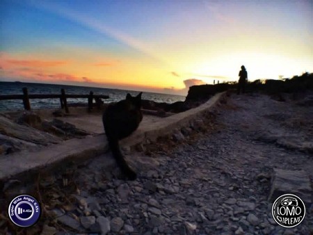 ชอบมากเลยครับ ถ่ายวิวกว้างกว่ากล้องปกติเยอะเลยครับ ชอบครับโดนใจมาก  ประเภทเลนส์ Super Wide Angle 0.45x  อุปกรณ์ที่ใช้ถ่ายรูป Apple >> iPhone 5s  รีวิวโดย Art Tanawat