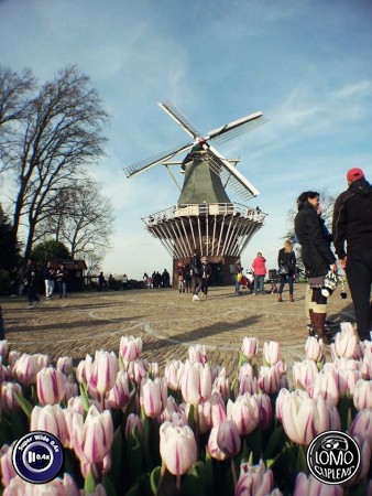 วิวสวยๆจาก Netherland >>Kuekenhoff, Amsterdam   ประเภทเลนส์ Super Wide 0.4x  อุปกรณ์ที่ใช้ถ่ายรูป Samsung  รีวิวโดย Vassana