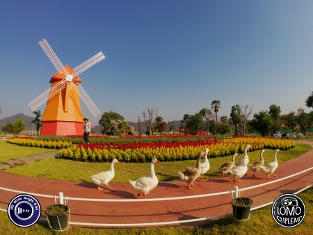 ก๊าบ ก๊าบ ก๊าบ  ประเภทเลนส์ Wide Angle 0.6x HD  อุปกรณ์ที่ใช้ถ่ายรูป Huawei >> Mate 9  รีวิวโดย Minnie