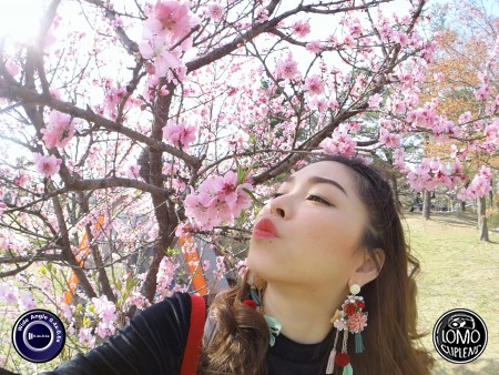 แฮปปรี้ ซากุระสีชมพูมุ้งมิ้ง ณ กรุงโซล เกาหลี  ประเภทเลนส์ Wide Angle 0.4x - 0.6x  อุปกรณ์ที่ใช้ถ่ายรูป Huawei >> Mate 9  รีวิวโดย Minnie