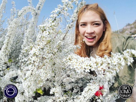 ที่เกาหลีอากาศดี๊ดี ค่ะ  ประเภทเลนส์ Wide Angle 0.4x - 0.6x  อุปกรณ์ที่ใช้ถ่ายรูป Samsung >> Galaxy S7  รีวิวโดย Irin