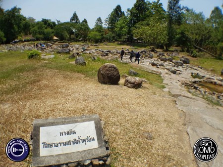 ถ่ายรูปออกมาสวยไปอีกแบบ  ประเภทเลนส์ Super Wide Angle 0.45x  อุปกรณ์ที่ใช้ถ่ายรูป Samsung >> Galaxy S7  รีวิวโดย Adouble