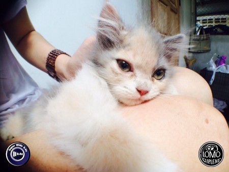 ของคุณรีวิวสวยๆจาก Kdimenz*  ประเภทเลนส์ Super Wide 0.4x