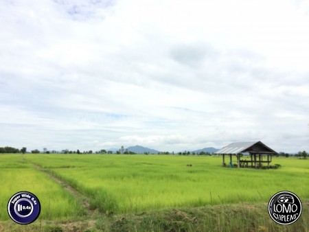 เก็บบรรยากาศเขียวชะอุ่ม ด้วยเลนส์ Super Wide 0.4x  ประเภทเลนส์ Super Wide 0.4x