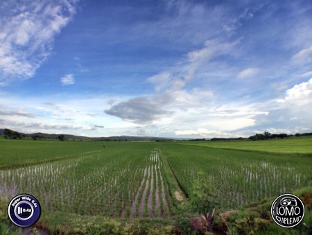 อยู่บ้านเราสบายดีจัง  ประเภทเลนส์ Super Wide 0.4x