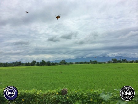 Nature  ประเภทเลนส์ Super Wide 0.4x