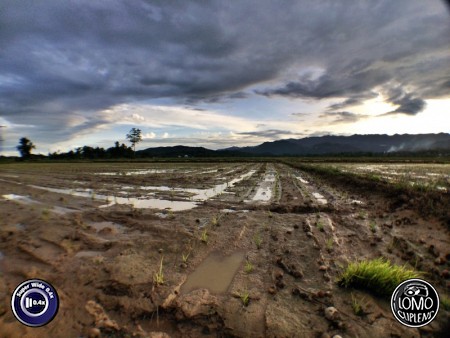 ธรรมชาติที่สวยงาม  ประเภทเลนส์ Super Wide 0.4x