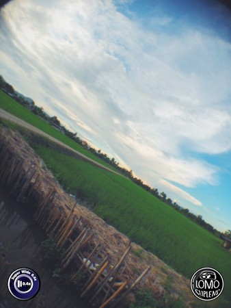 ทุ่งนาสวยๆ By Chin Wuts  ประเภทเลนส์ Super Wide 0.4x