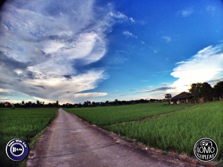 ทุ่งนา ท้องฟ้า ยามเย็น By Chin Wuts  ประเภทเลนส์ Super Wide 0.4x