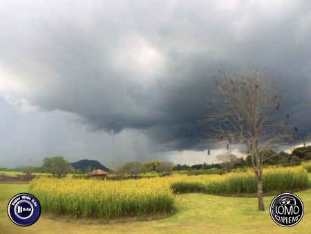 ขอบคุณรีวิวสวยๆจากคุณ Ma^aM  ประเภทเลนส์ Super Wide 0.4x