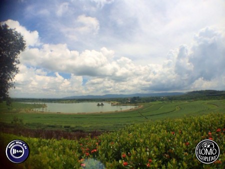 ขอบคุณรีวิวสวยๆจากคุณ Ma^aM  ประเภทเลนส์ Super Wide 0.4x