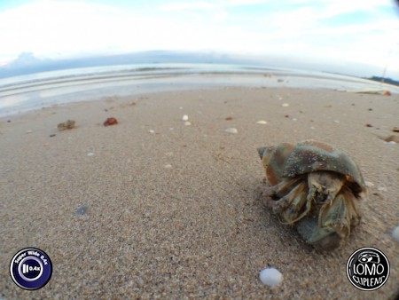 Hello world  ประเภทเลนส์ Super Wide 0.4x