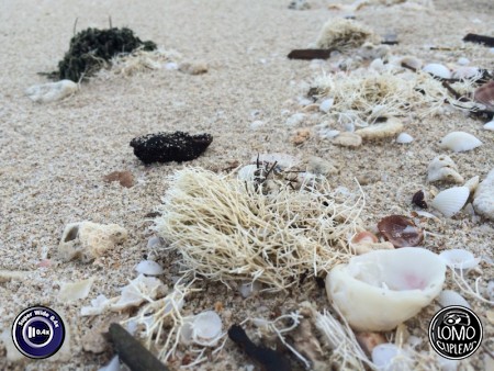 งานศิลป์บนผืนทราย ทริปชุมพร  ประเภทเลนส์ Super Wide 0.4x