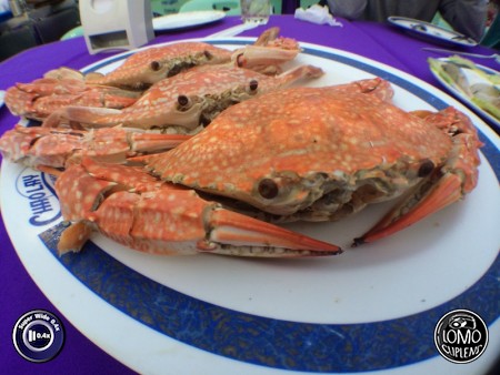 ปูก้ามปูใหญ๊ใหญ่  ประเภทเลนส์ Super Wide 0.4x