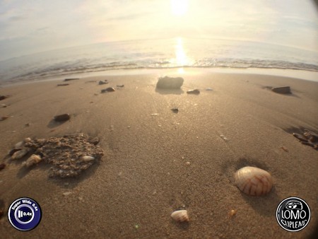 Morning  ประเภทเลนส์ Super Wide 0.4x