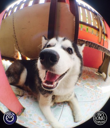 ขอบคุณรีวิวสวยๆ จากคุณ ซุปเปอแมนเกงลิงสีแดง  ประเภทเลนส์ Fisheye 180°