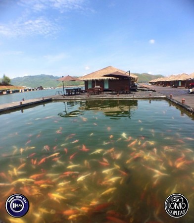 ขอบคุณรีวิวสวยๆ จากคุณ Tangao Ao  ประเภทเลนส์ Super Wide 0.4x