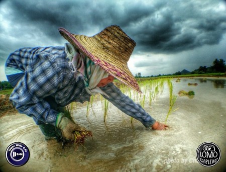 ขอบคุณรีวิวสวยๆ จากคุณ Chakkawet  ประเภทเลนส์ Super Wide 0.4x